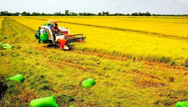 Tin bất động sản ngày 6/7: Sở Xây dựng Quảng Ngãi đề xuất hủy bỏ loạt đồ án quy hoạch khu đô thị
