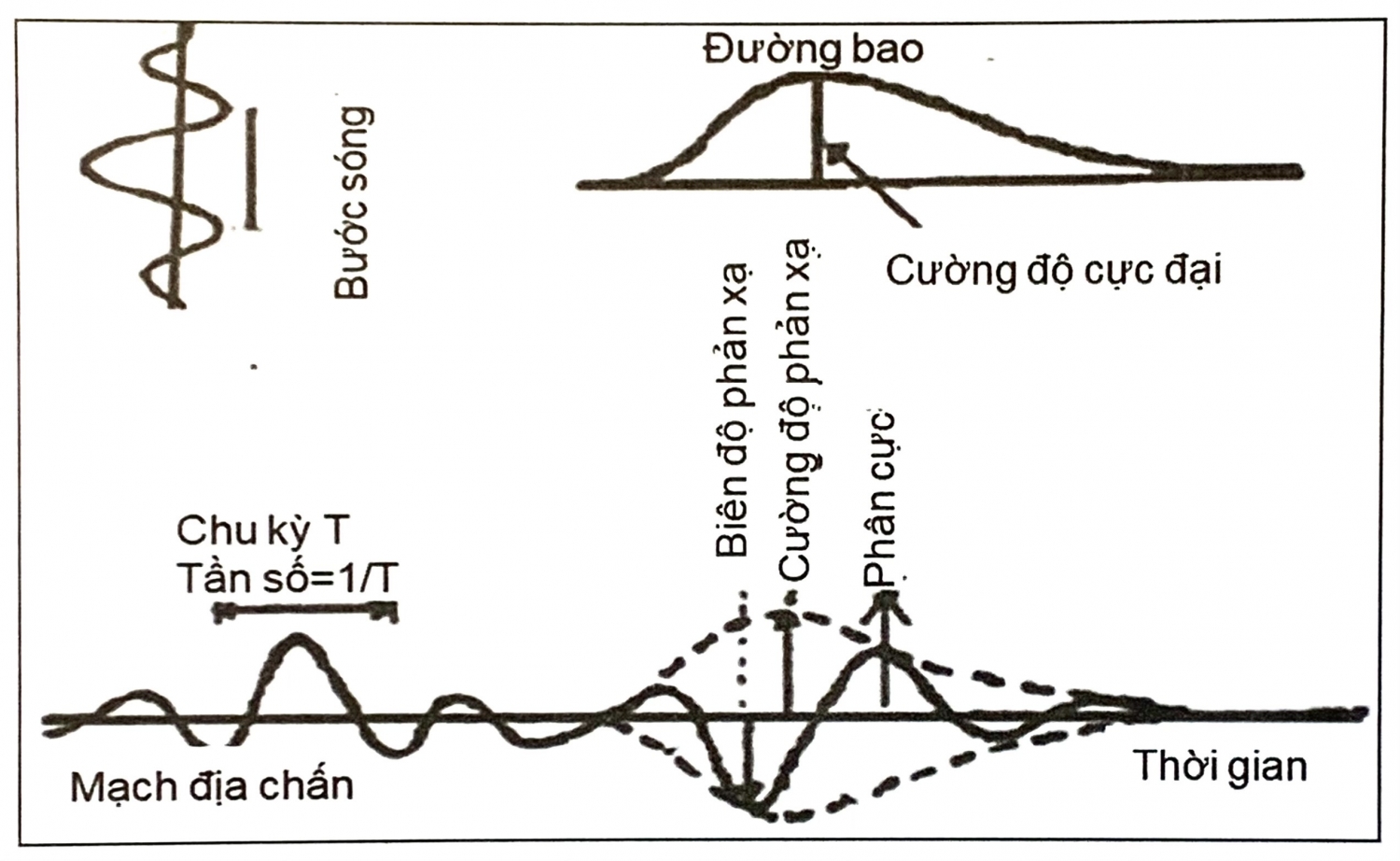 Các đặc điểm sóng đàn hồi