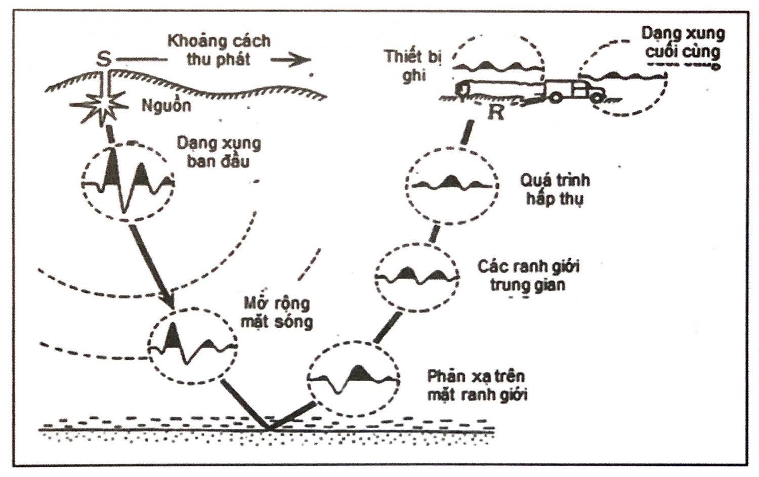Các đặc điểm sóng đàn hồi