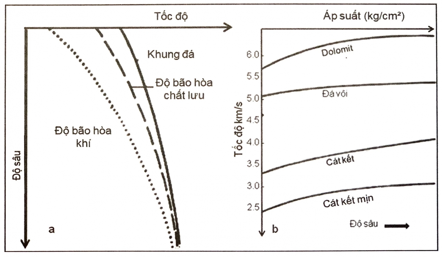 Các đặc điểm sóng đàn hồi