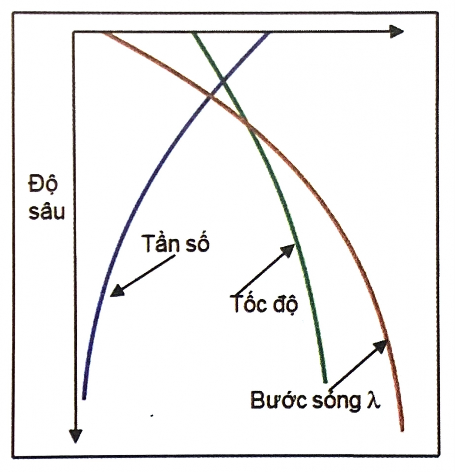 Các đặc điểm sóng đàn hồi