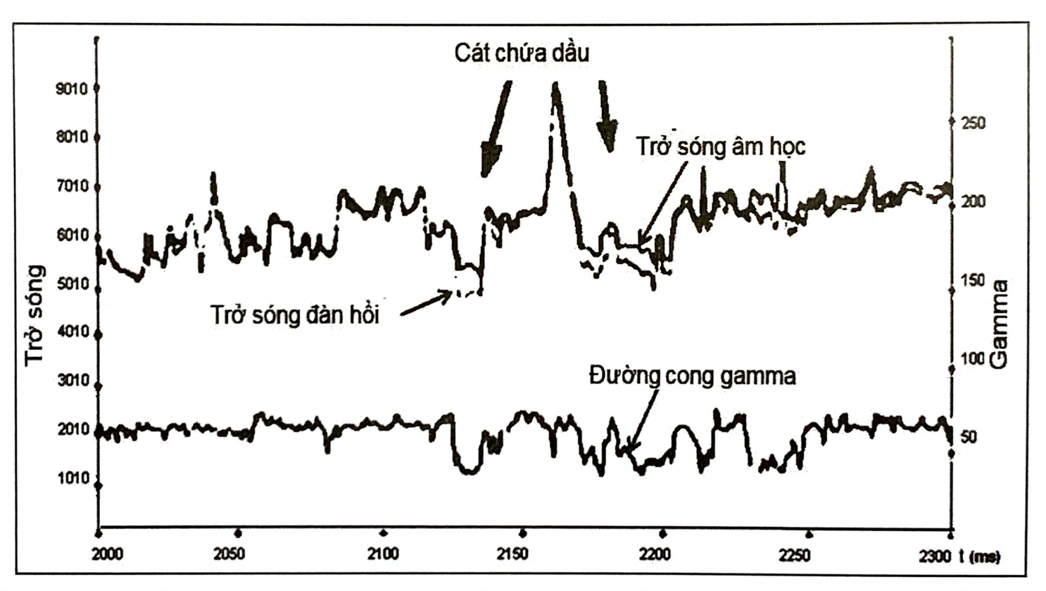 Biến đổi ngược trước cộng sóng