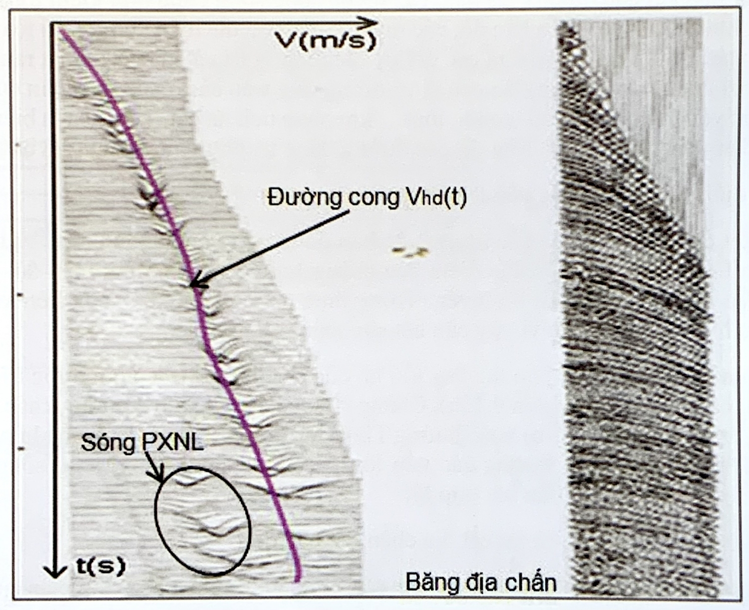 Minh giải lát cắt địa chấn - Phần 2