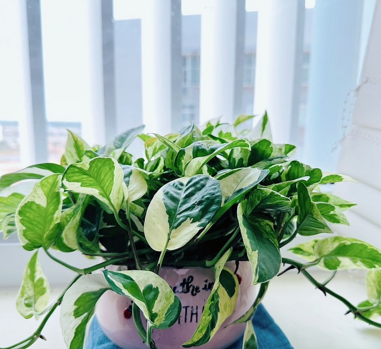 PVU - Sẵn sàng 5S, tạo nét thành công