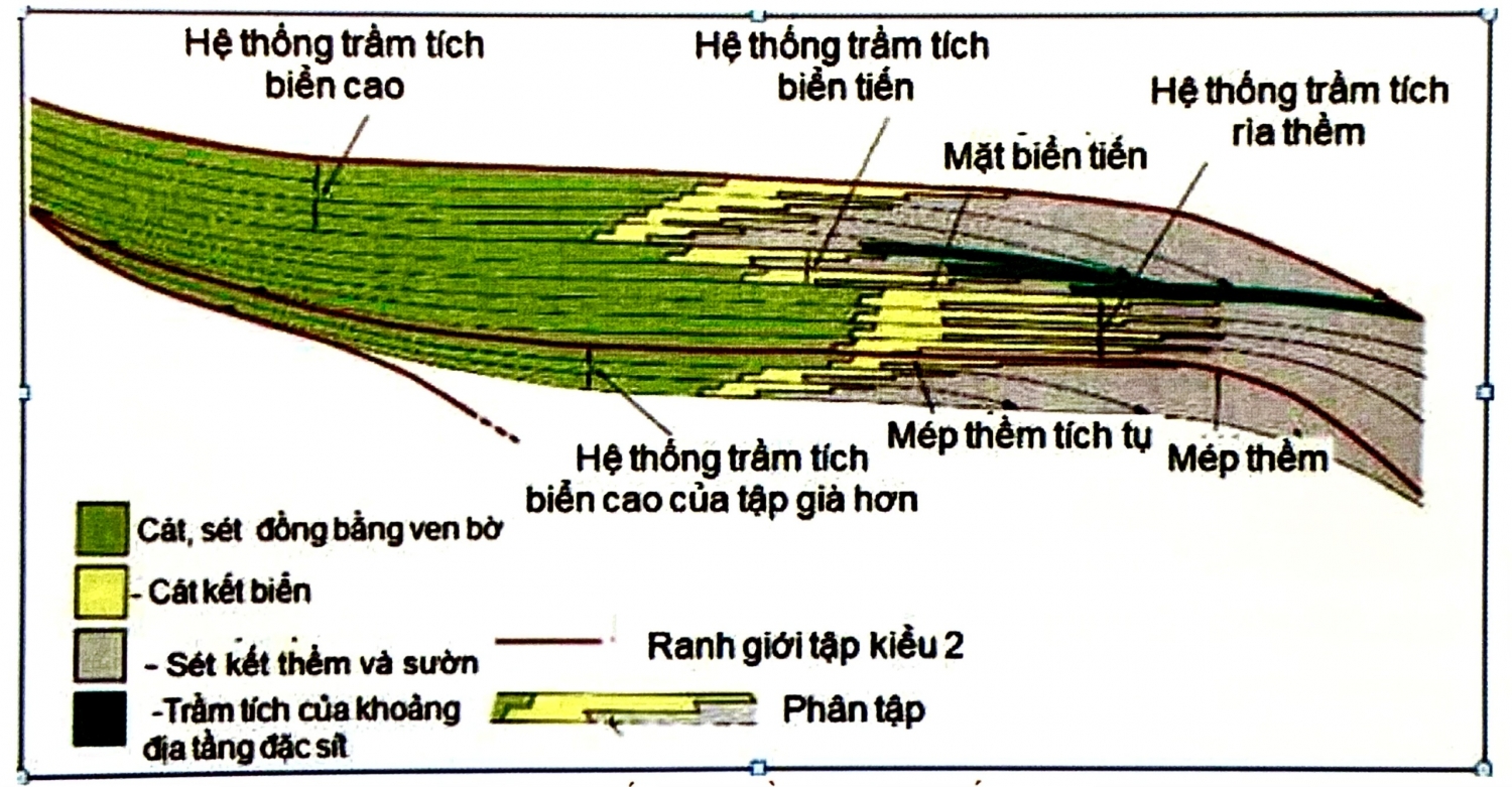 Các hệ thống trầm tích liên quan với đường bờ