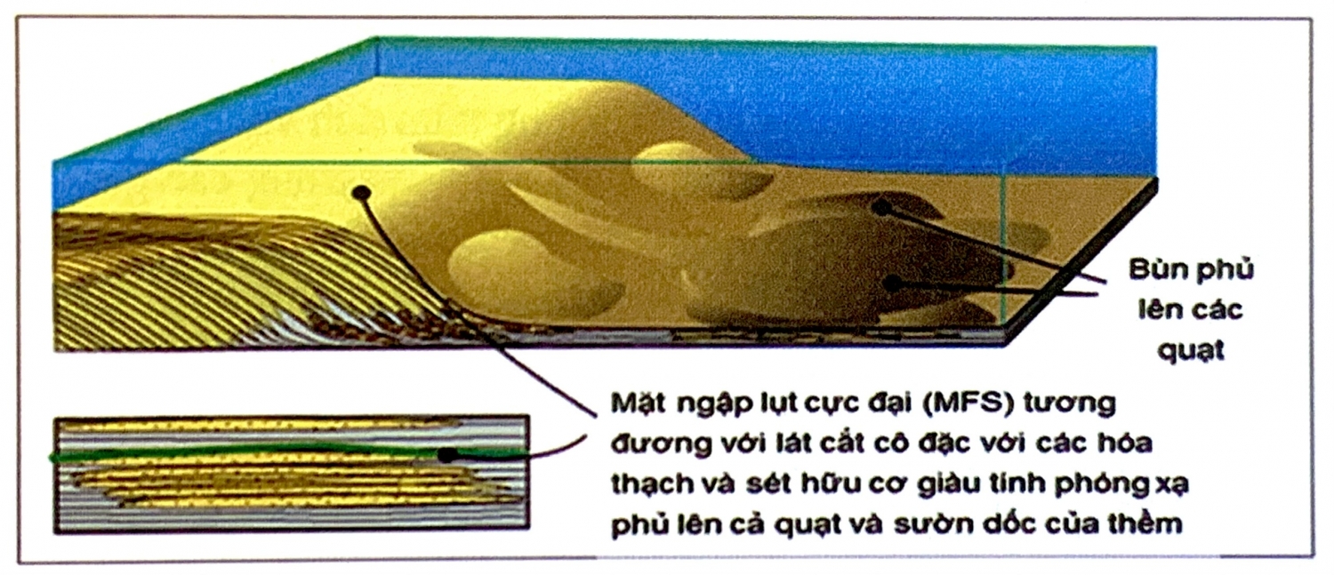 Địa tầng phân tập vùng biển nước sâu