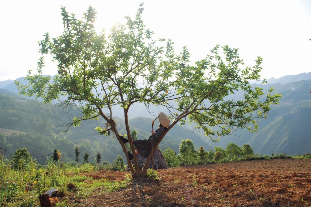 Lạc vào làng cổ trăm năm tuổi ở Hà Giang