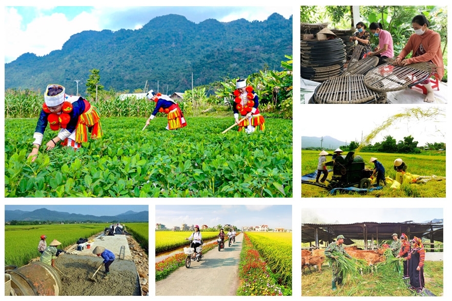 Nhân rộng những sáng kiến, mô hình, cơ chế, chính sách hiệu quả, có tính khả thi trong thực tiễn (Ảnh minh họa).