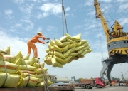 Khơi dòng tiền cho doanh nghiệp sản xuất: Giảm áp lực vốn