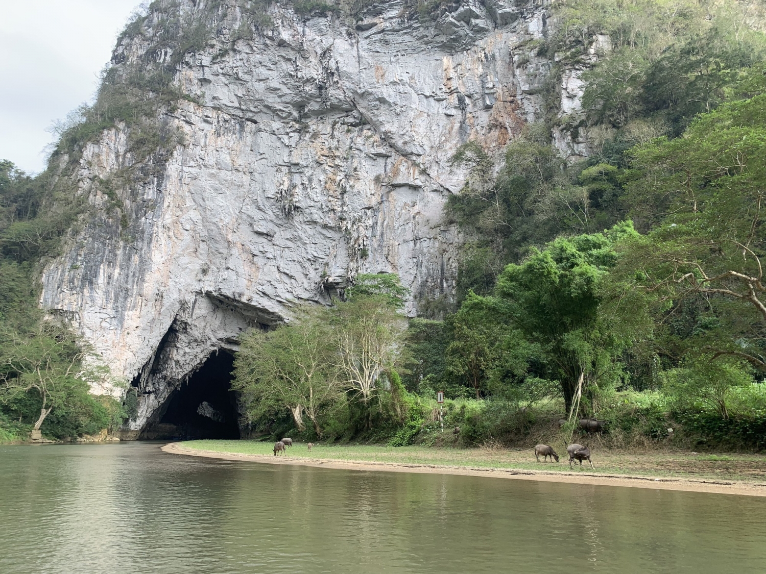 Hồ Ba Bể  'viên ngọc xanh' giữa đại ngàn Việt Bắc