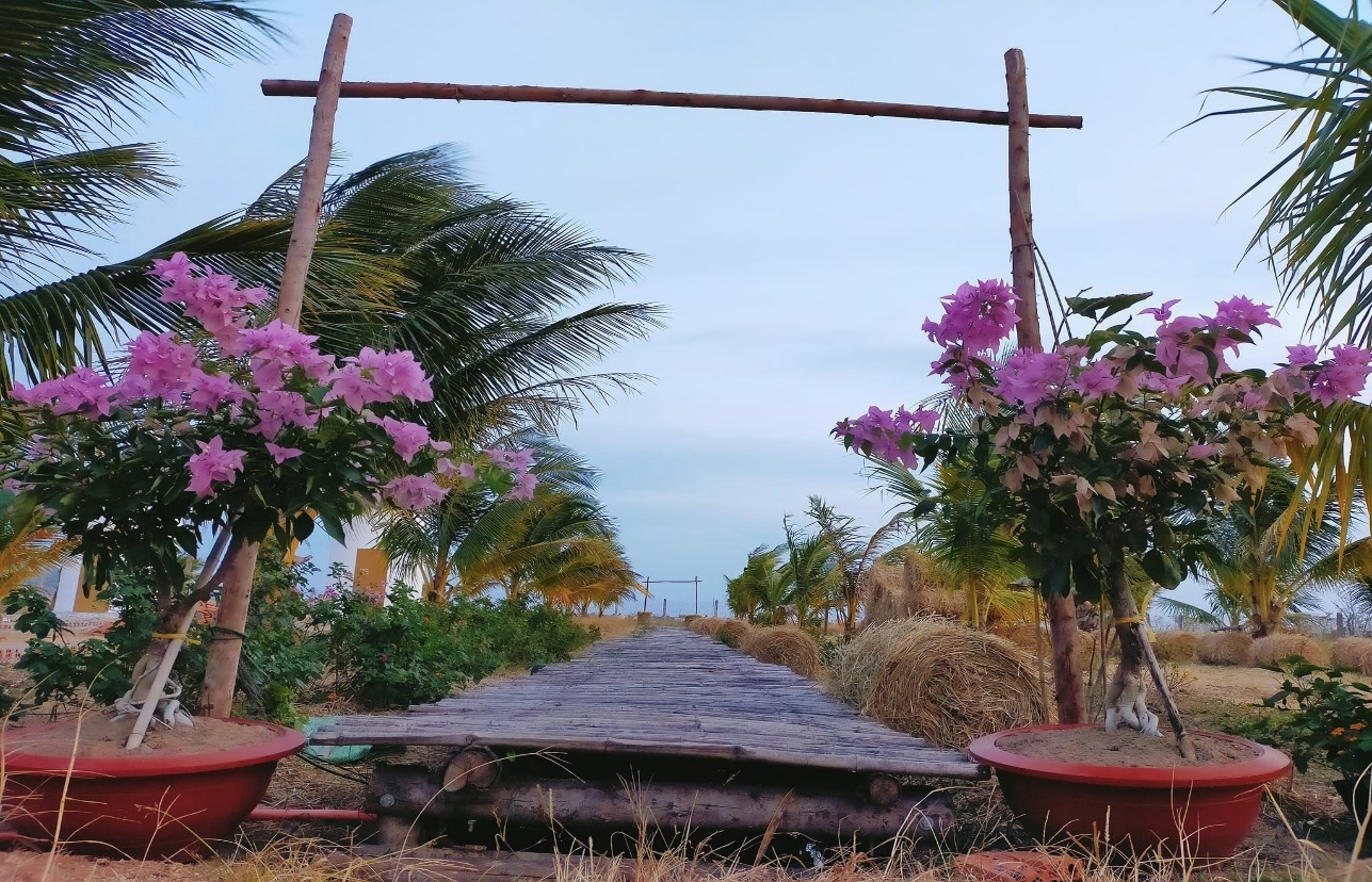 Khu du lịch Nhà của Nắng điểm check in hấp dẫn tại Ninh Thuận Khu du lịch Nhà của Nắng điểm check in hấp dẫn tại Ninh Thuận