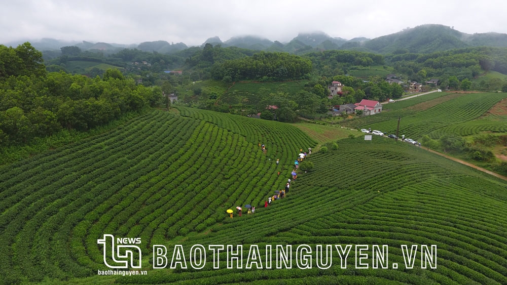Thái Nguyên - Điểm đến thân thiện Thái Nguyên - Điểm đến thân thiện