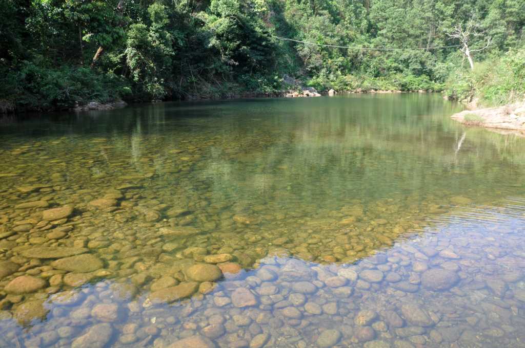 Quảng Ninh: Hài hòa lợi ích khi phát triển du lịch ở các khu bảo tồn rừng