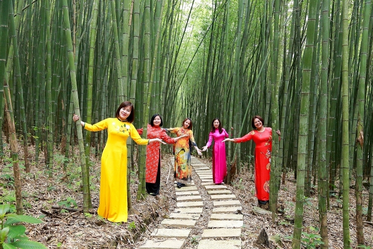 Lạc lối trong vẻ đẹp rừng trúc sào Bản Phường