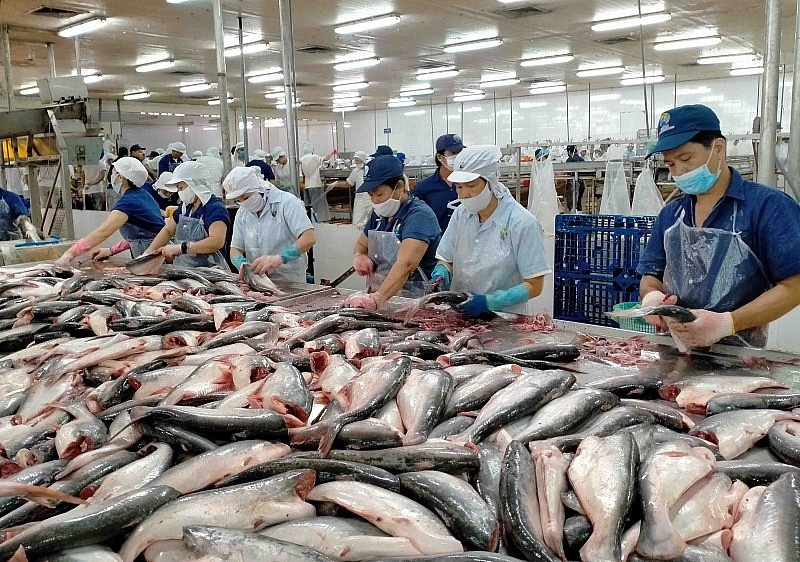 Giải pháp nào cho doanh nghiệp thủy sản chắc chân hơn ở thị trường nội địa?