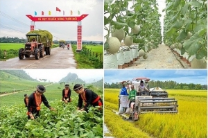 Thúc đẩy triển khai thực hiện 3 chương trình mục tiêu quốc gia
