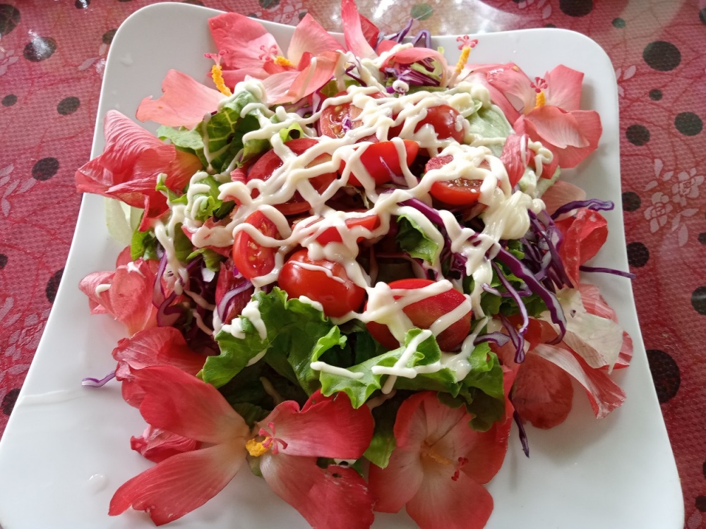 Đến Thái Nguyên thưởng thức những món ăn hấp dẫn từ sâm Bố Chính