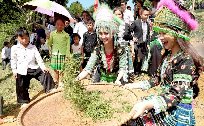 Yên Bái: Lễ hội Trà Shan tuyết huyện Văn Chấn lần thứ nhất sẽ tổ chức vào tháng 9/2023