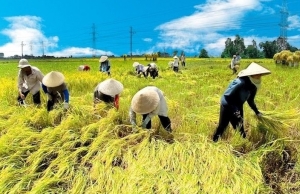 Tháo gỡ khó khăn, thúc đẩy triển khai thực hiện 3 chương trình mục tiêu quốc gia