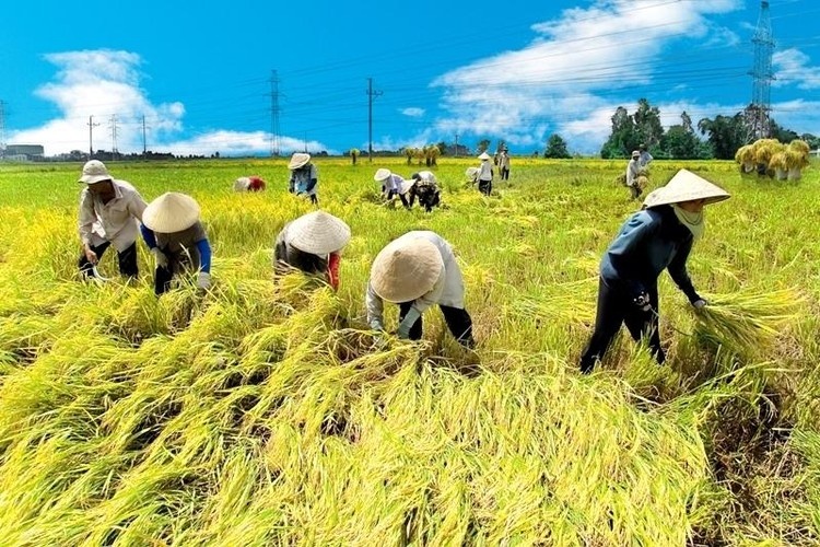 Tháo gỡ khó khăn, thúc đẩy triển khai thực hiện 3 chương trình mục tiêu quốc gia