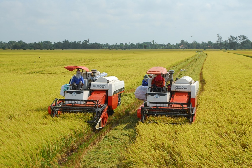 Nông sản được giá, doanh nghiệp phân bón nỗ lực đảm bảo nguồn cung chất lượng