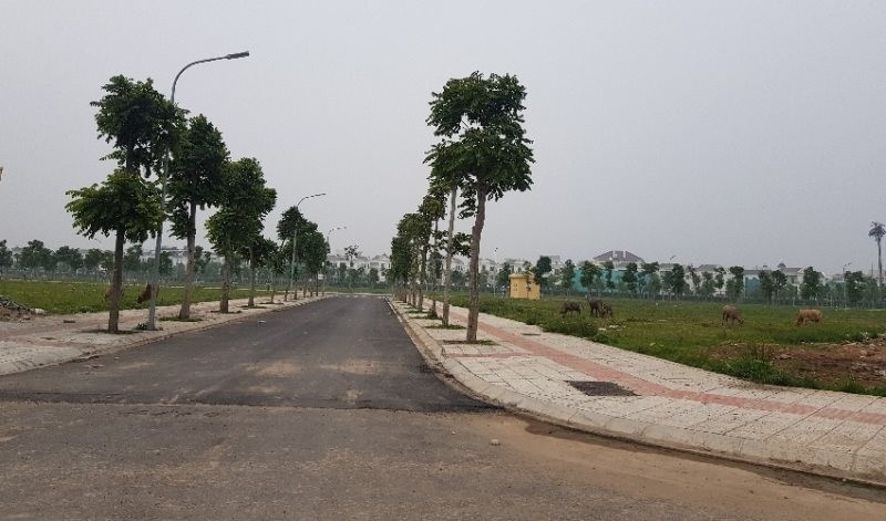 9000 vận động viên tham gia "bước chạy vì một Việt Nam vượt trội", gắn kết cộng đồng và bứt phá những kỷ lục cá nhân 9000 vận động viên tham gia "bước chạy vì một Việt Nam vượt trội", gắn kết cộng đồng và bứt phá những kỷ lục cá nhân