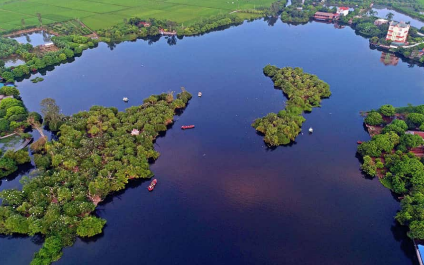 Đảo cò Thanh Miện - Điểm du lịch sinh thái hấp dẫn Đảo cò Thanh Miện - Điểm du lịch sinh thái hấp dẫn