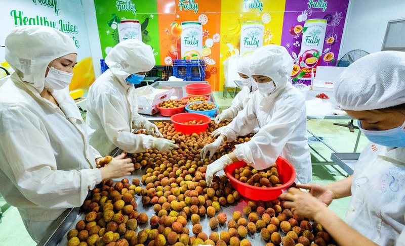 Chờ đợi tín hiệu tăng trưởng tín dụng trở lại | DIỄN ĐÀN TÀI CHÍNH