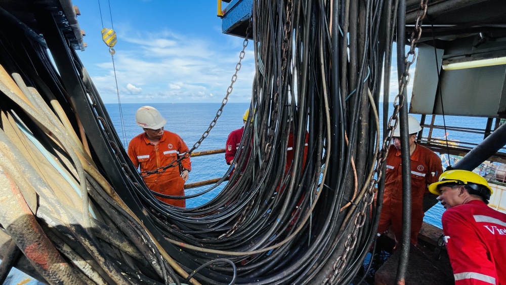 Tác phẩm dự thi 
