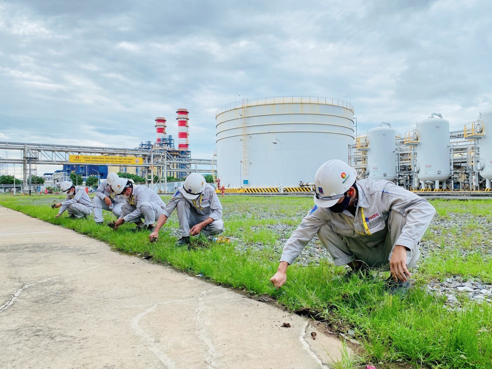 Tác phẩm dự thi 