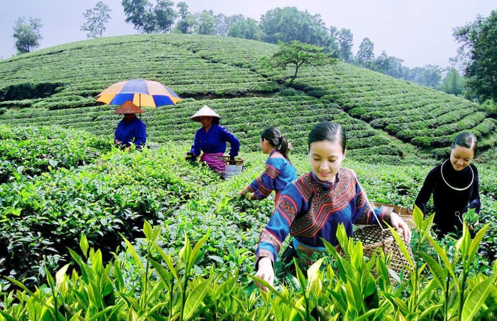 Bổ sung kế hoạch đầu tư vốn các chương trình mục tiêu quốc gia