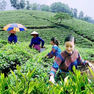 Bổ sung kế hoạch đầu tư vốn các chương trình mục tiêu quốc gia
