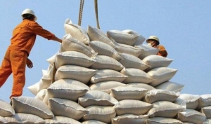 Tin tức kinh tế ngày 25/10: Kim ngạch xuất khẩu gạo lập đỉnh mới