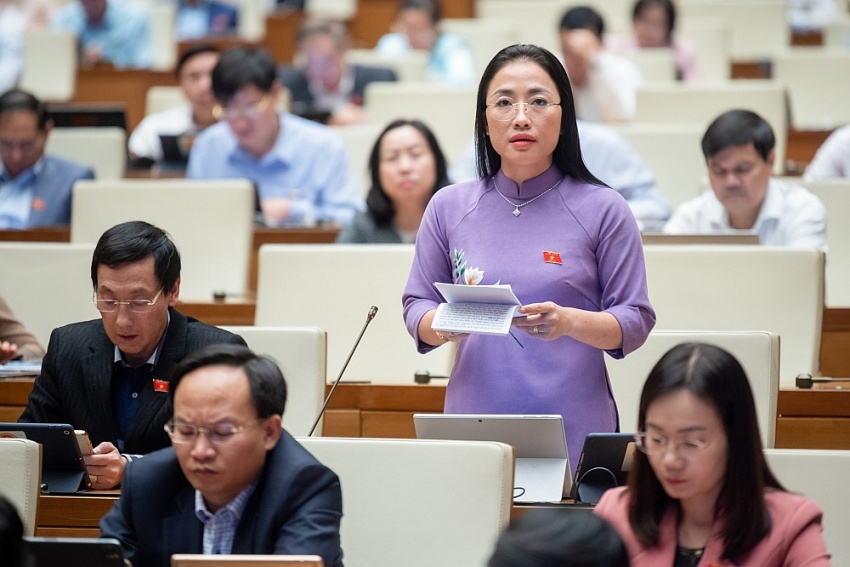 Đại biểu lo ngại doanh nghiệp lợi dụng lý do khó khăn để trốn đóng BHXH