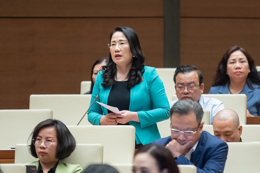 Đại biểu lo ngại doanh nghiệp lợi dụng lý do khó khăn để trốn đóng BHXH