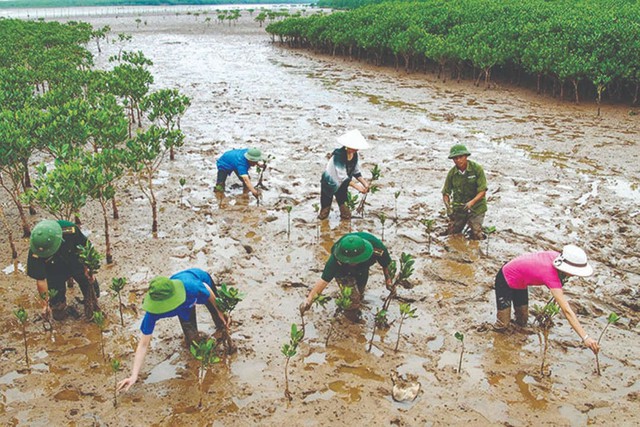COP28: Ứng phó với biến đổi khí hậu phải thực hiện trên nguyên tắc công bằng