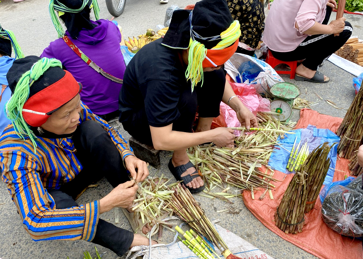 Mùa măng tay của miền núi rừng Hà Giang