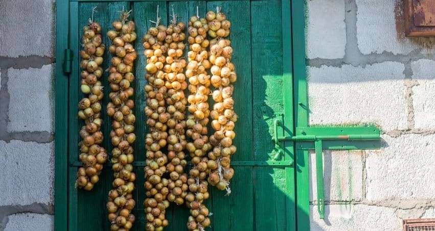 Ấn tượng những phong tục đón năm mới độc đáo trên thế giới Ấn tượng những phong tục đón năm mới độc đáo trên thế giới