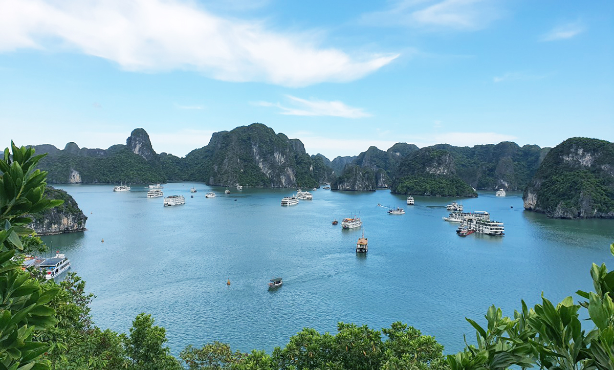 Tripadvisor: Vịnh Hạ Long và Sa Pa trong tốp 5 điểm đến xu hướng hàng đầu thế giới