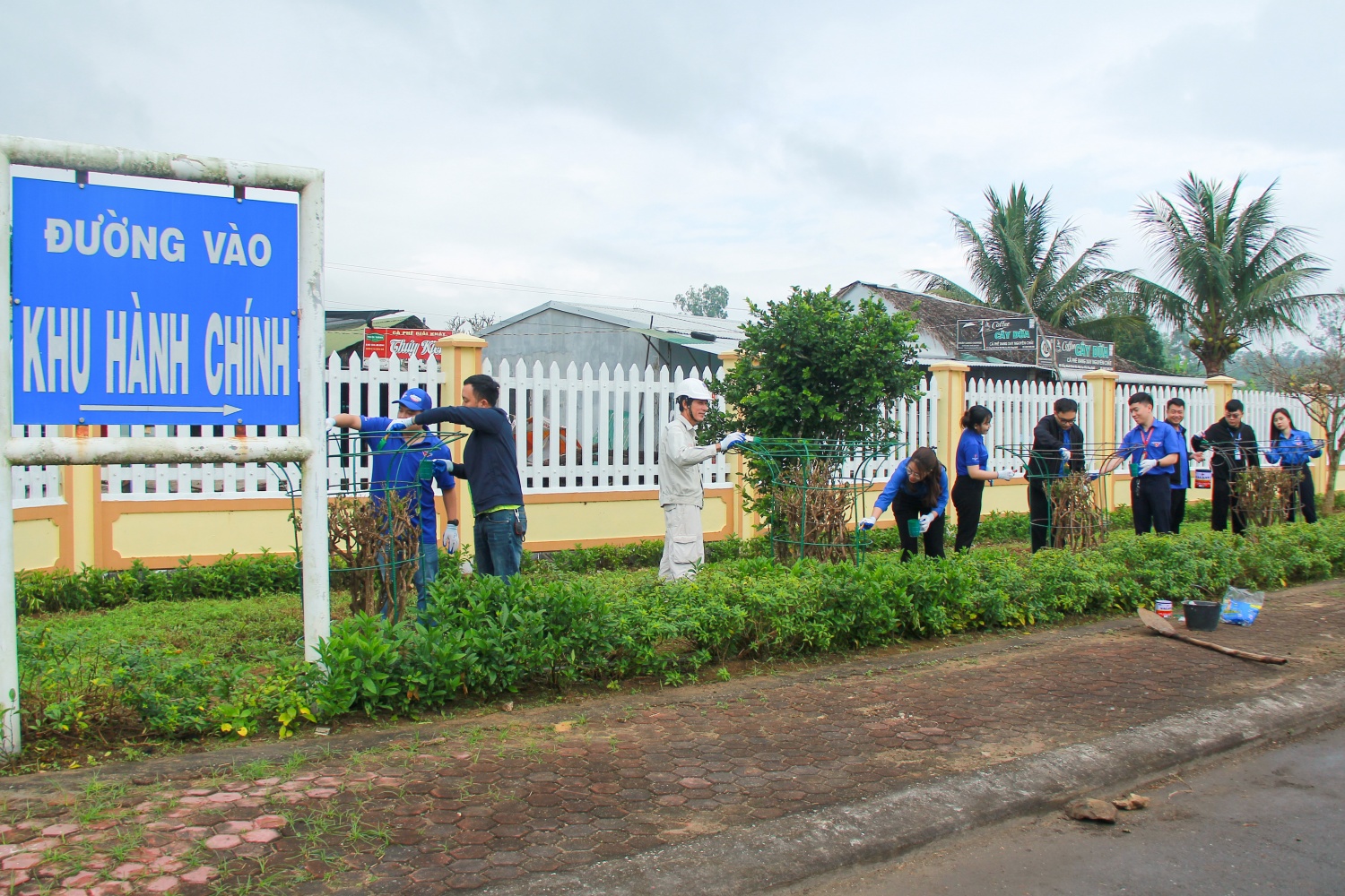 Đoàn Thanh niên BSR tổ chức trồng cây, làm đẹp tuyến đường vào NMLD Dung Quất Đoàn Thanh niên BSR tổ chức trồng cây, làm đẹp tuyến đường vào NMLD Dung Quất