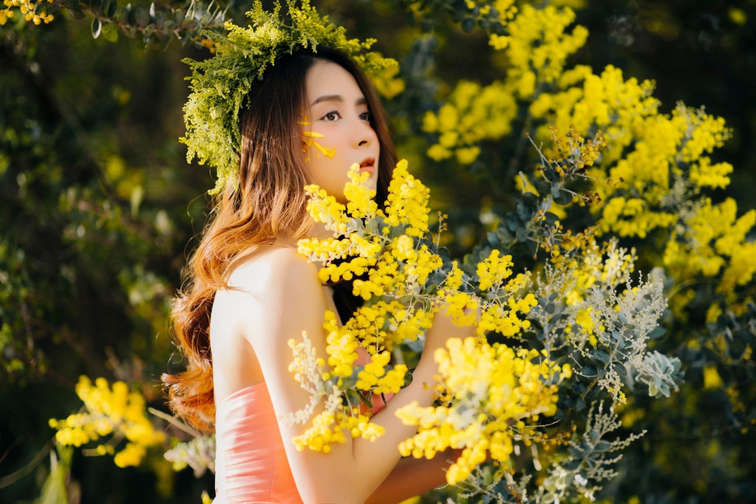Cẩm nang du lịch Đà Lạt