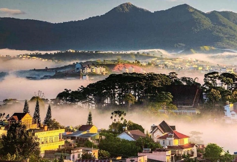 Cẩm nang du lịch Đà Lạt