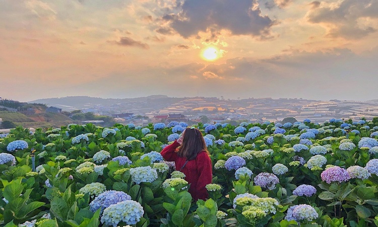 Cẩm nang du lịch Đà Lạt