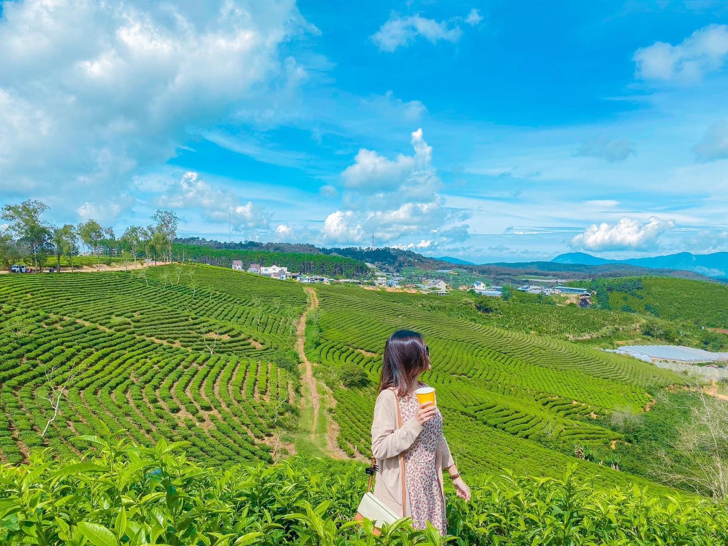 Cẩm nang du lịch Đà Lạt