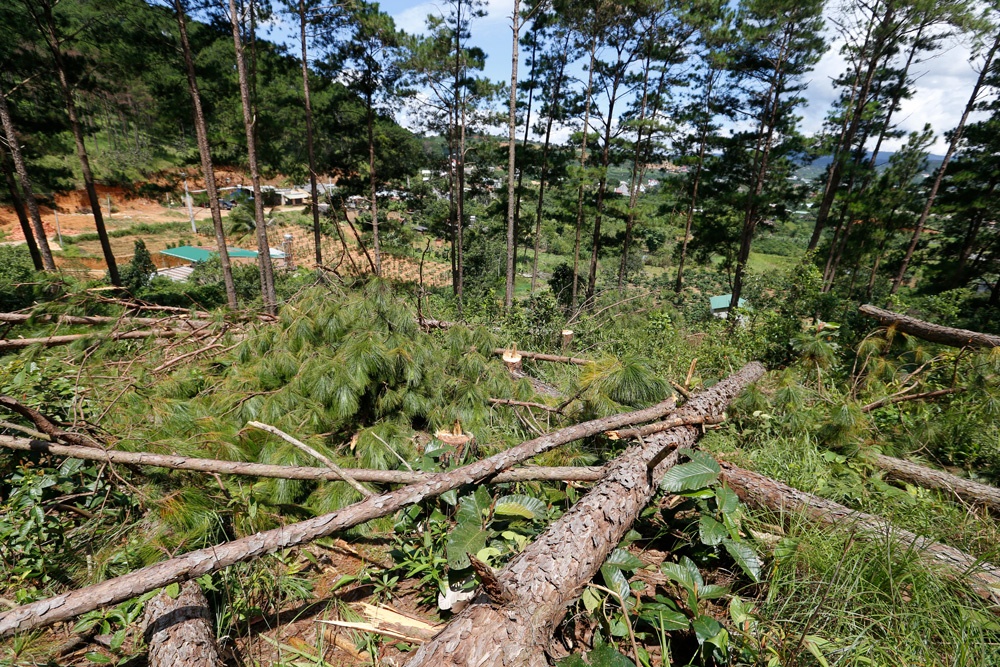 Tin bất động sản ngày 7/2: Quảng Ngãi sắp quy hoạch hai khu đô thị mới gần 1.200 ha