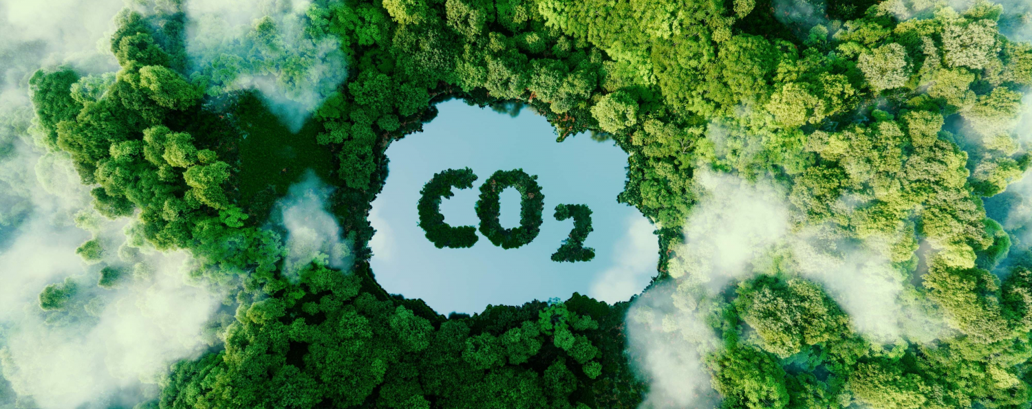 Vấn đề tín chỉ carbon và những khoảng trống pháp lý tại Việt Nam