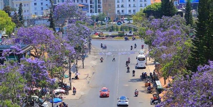 Đà Lạt nằm trong Top điểm du lịch thiên nhiên được yêu thích nhất tại châu Á