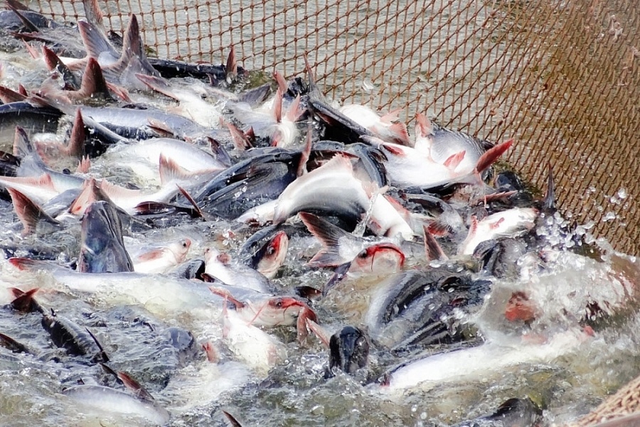 Tin tức kinh tế ngày 25/3: