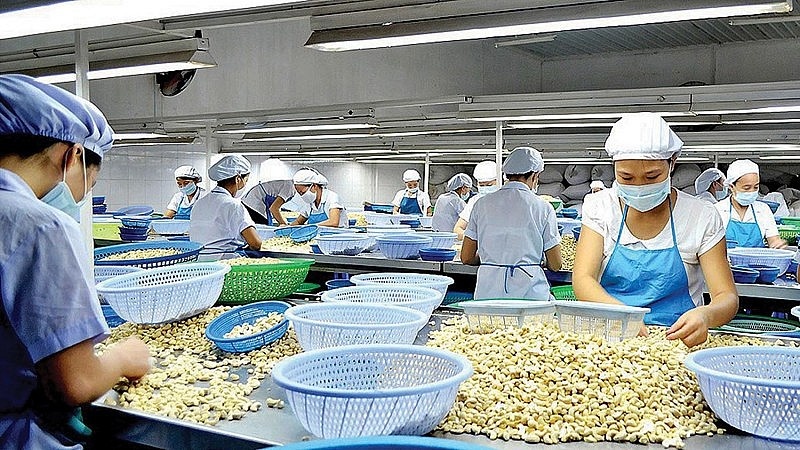 Tin tức kinh tế ngày 7/5: Xuất khẩu hạt điều lấy lại đà tăng trưởng