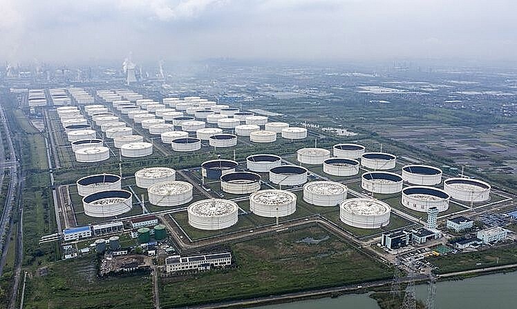 Ảnh: Internet Ảnh: Internet